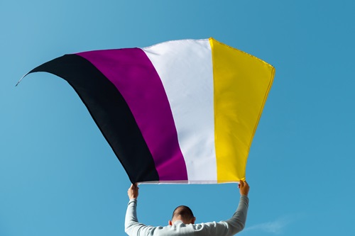 Bilde av et ikke-binært flagg